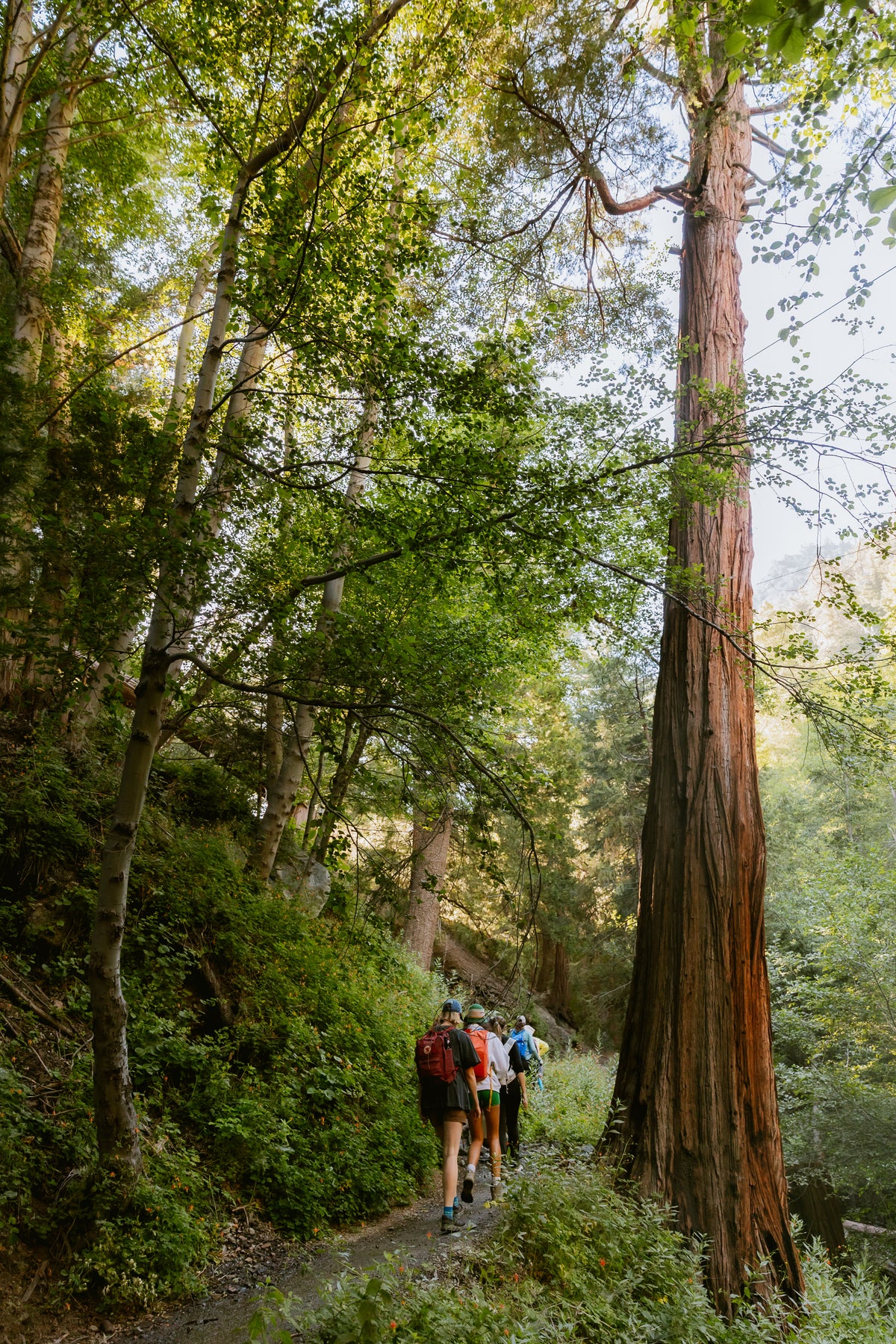 Community Hike | with Ursa Major