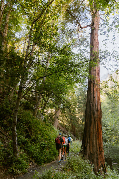 Community Hike | with Ursa Major
